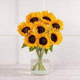 Sunflower Abundance