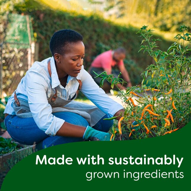 Knorr 8 Chicken Stock Cubes   8 x 10g - McGrocer