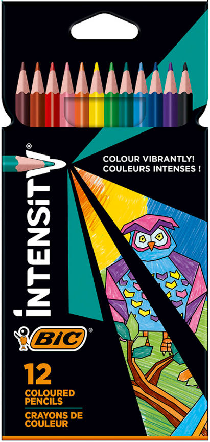 Bic Intensity Colouring Pencils – 12 Pack - McGrocer