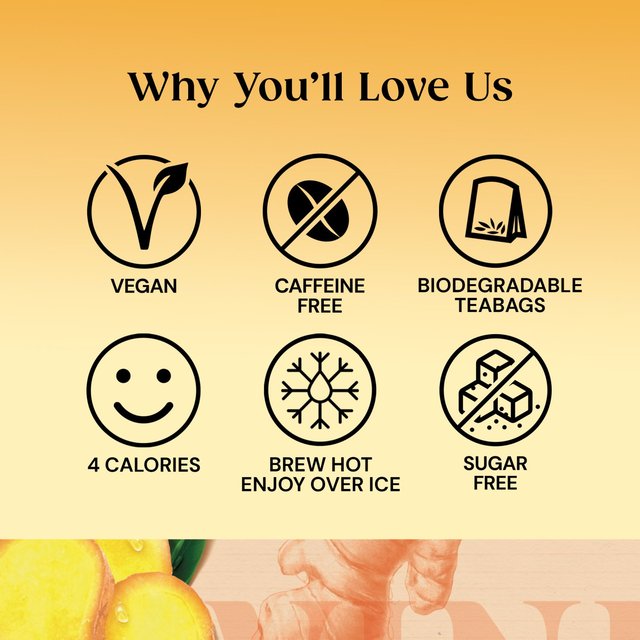 Twinings Spiced Ginger Tea   20 per pack GOODS M&S   