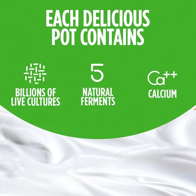 Activia Rhubarb Prune Fig Blackberry & Raspberry Multipack Fruit Yoghurt    8 x 115g - McGrocer