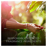 Airwick Botanica Reed Caribbean Vetiver & Sandalwood   80ml - McGrocer