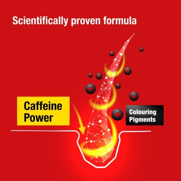 Alpecin Tuning Shampoo 3x 200ml | Preserves Natural Colour - McGrocer