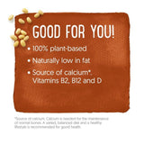 Alpro Smooth Chocolate Dessert   4 x 125g - McGrocer