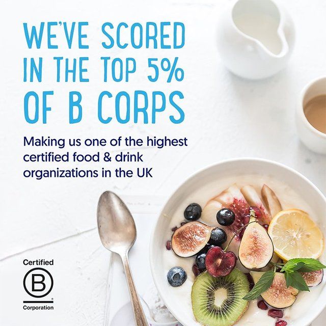 Alpro Strawberry Yoghurt Alternative   500g - McGrocer