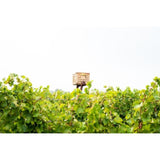 Babylonstoren Babel Red Blend   75cl - McGrocer