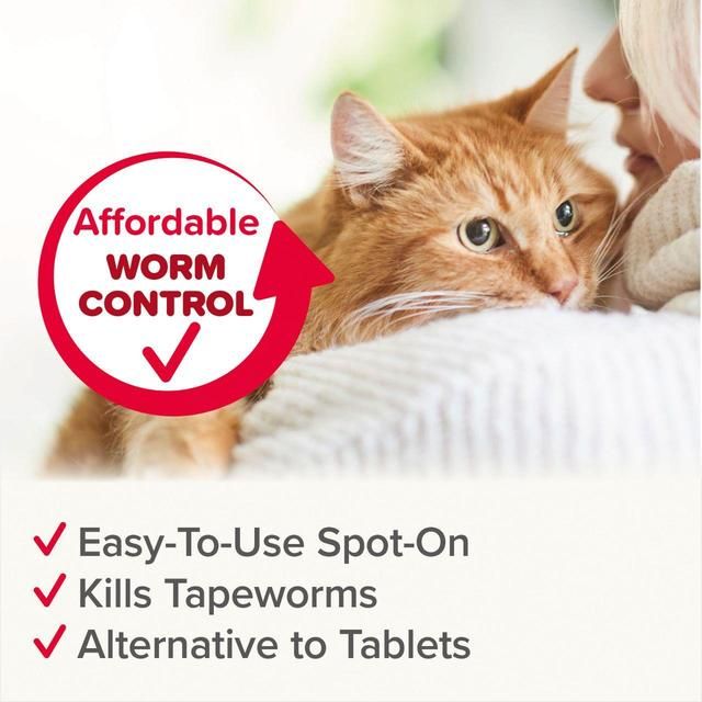 Beaphar WORMclear Worming Spot-On for Cats   6 per pack - McGrocer