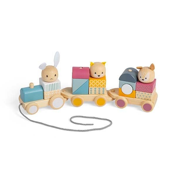 Bigjigs Toys Wooden Activity Pull Along Train - McGrocer