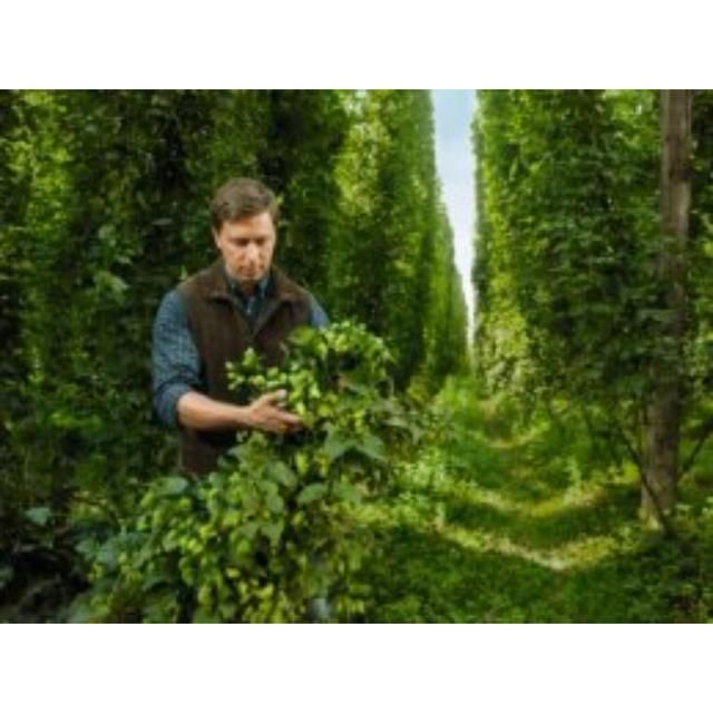 Bitburger Premium Pils   4 x 500ml - McGrocer