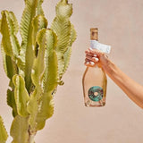 Castillo de Ibiza Rose   75cl