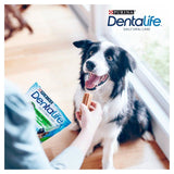 Dentalife Medium Dental Chicken Dog Chews    345g
