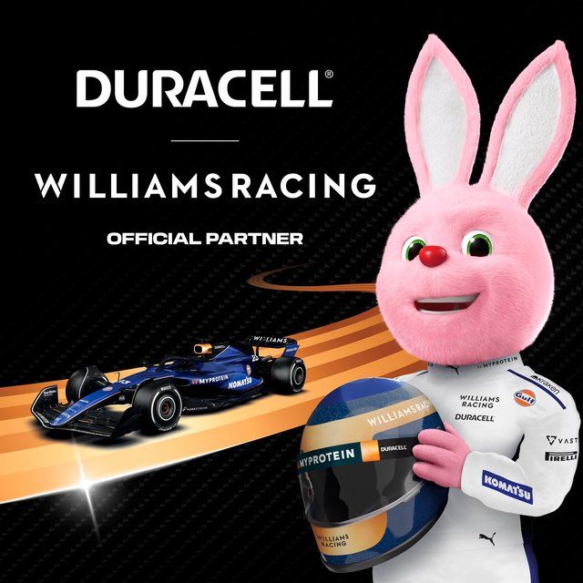 Duracell Optimum AA Batteries   12 per pack