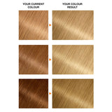 Garnier Belle Color 9.3 Light Honey Blonde Permanent Hair Dye