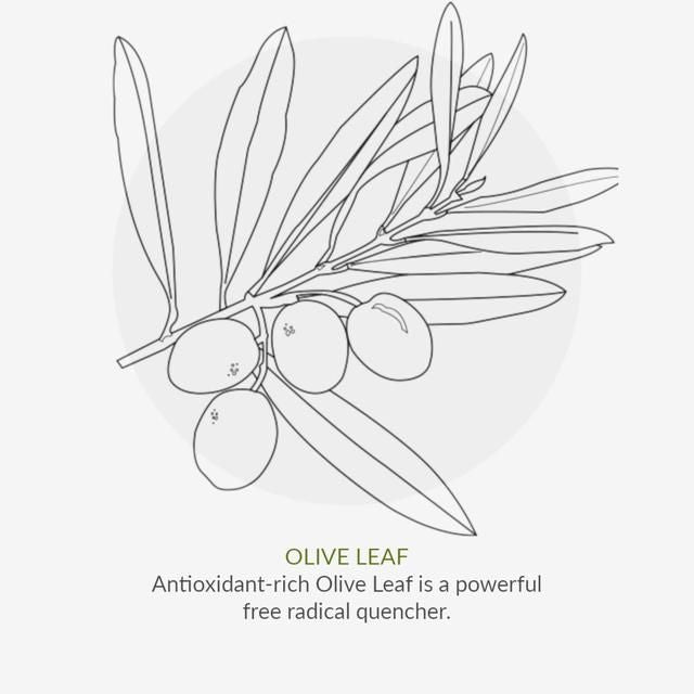 Green People Mint Cool Organic Toothpaste   50ml