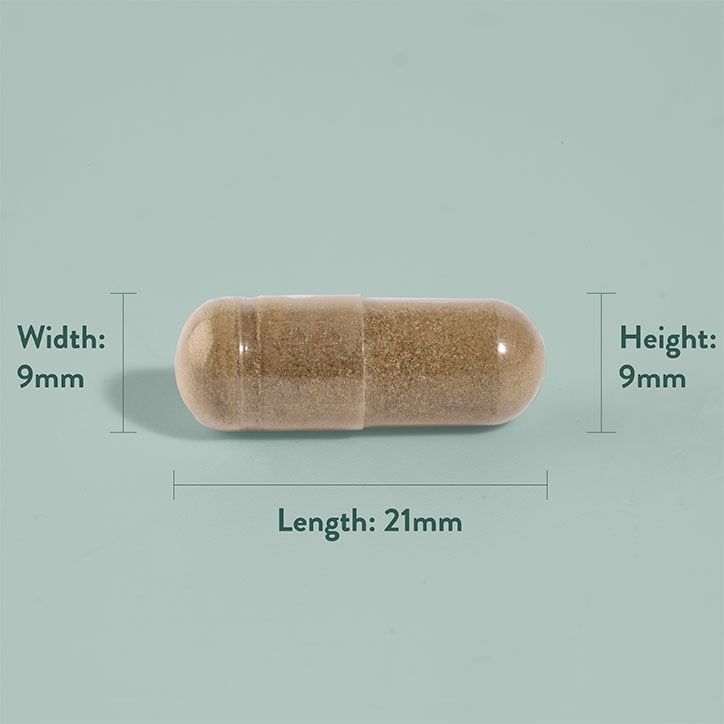 H&amp;amp;B Expert Good Day 60 Capsules