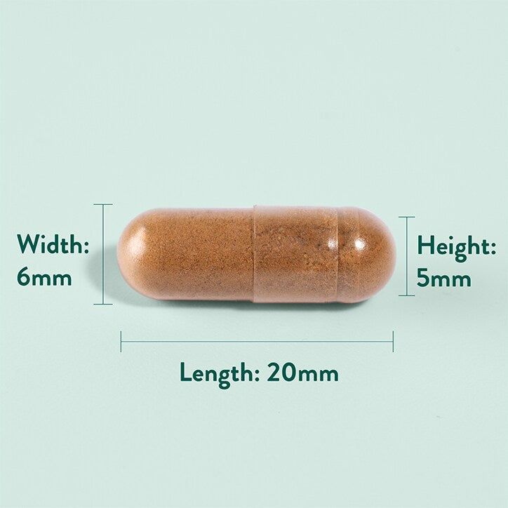 Holland &amp;amp; Barrett Artichoke Extract 350mg 60 Capsules