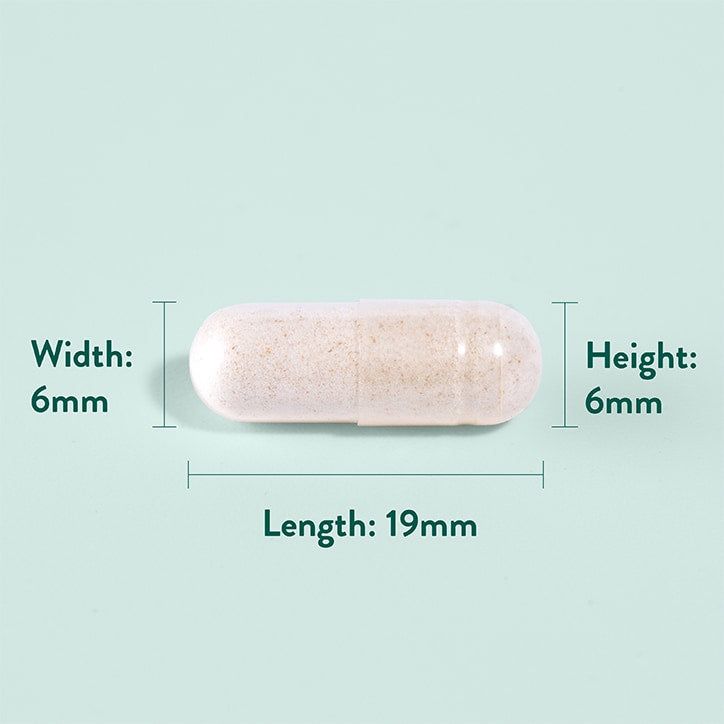 Holland &amp;amp; Barrett Ginger Root 120 Capsules