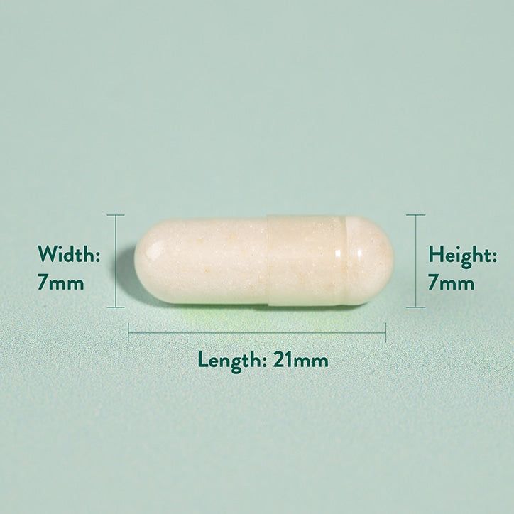 Holland &amp;amp; Barrett Glucosamine Sulphate