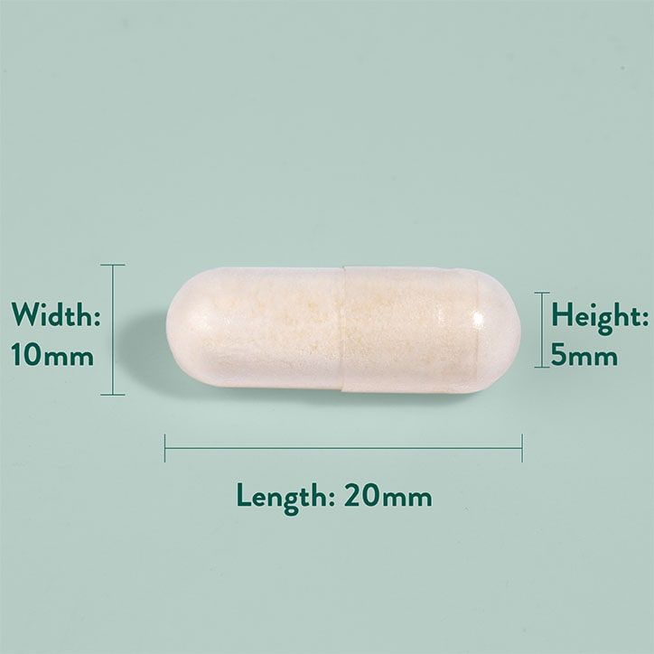 Holland &amp;amp; Barrett Live Friendly Bacteria 20 Billion 60 Capsules