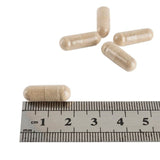 Holland &amp;amp; Barrett Maximum Strength Ginkgo Biloba 120mg 30 Capsules