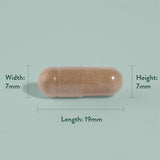 Holland &amp;amp; Barrett Pycnogenol 30mg 30 Capsules