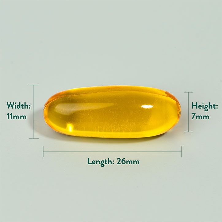 Holland &amp;amp; Barrett Triple Omega 3-6-9 120 Capsules