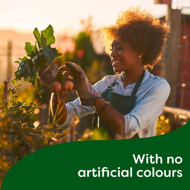 Knorr 4 Onion Gravy Pot   4 x 28g