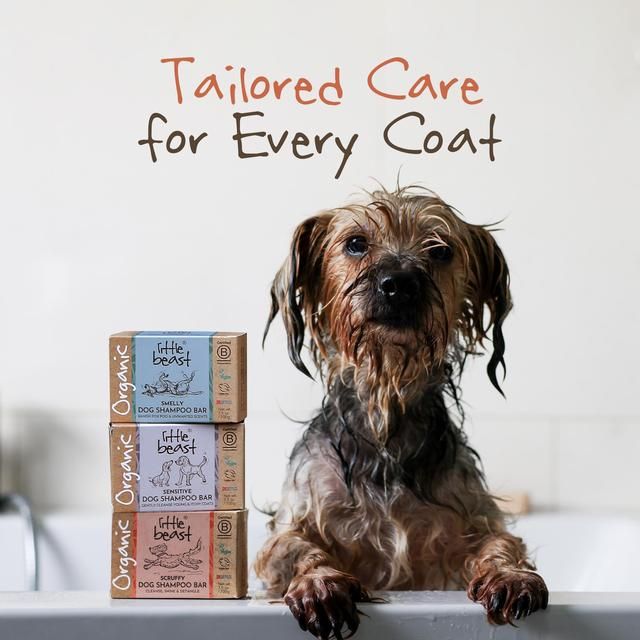 Little Beast Organic Scruffy Dog Shampoo Bar   100g