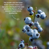 Little Freddie Strawberries Blueberries &amp;amp; Oats Organic Pouch 6 mths+   100g