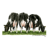 Kevin Milner Countryside Frisian Cow Card