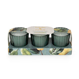 Candlelight Set of 3 Ribbed Mini Candles - Pear Tree & Bay Leaf