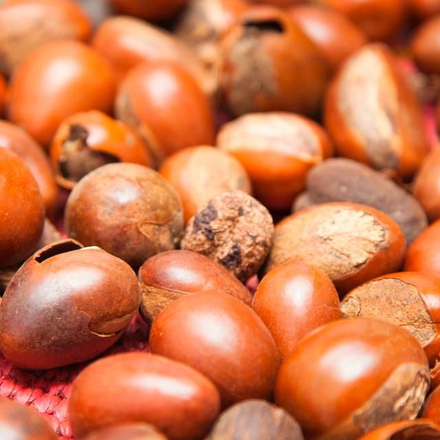 Maui Moisture Revive &amp;amp; Hydrate+ Shea Butter Hair Mask   340g