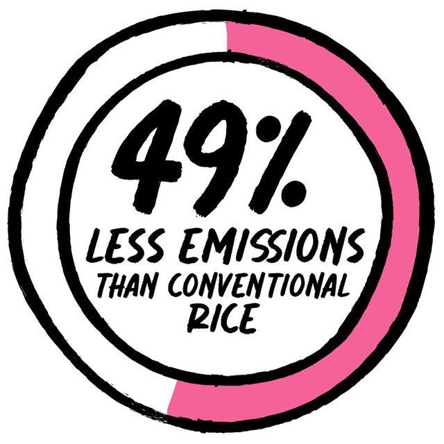 Nice Rice Provencal Herb Recipe   250g