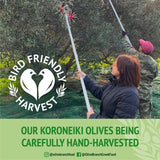 Olive Branch Greek Extra Virgin Olive Oil   500ml