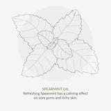 Organic Children Spearmint &amp;amp; Aloe Vera Fluoride Free Toothpaste   50ml