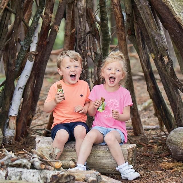 Organix KIDS Luscious Lemon &amp;amp; Lime Organic Oat Snack Bars Multipack   6 x 23g