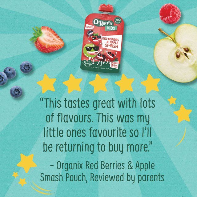 Organix KIDS Red Berries &amp;amp; Apple Smash Pouch    100g