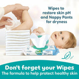 Pampers Baby-Dry Nappy Pants Size 5 (12-17kg) Essential Pack   33 per pack