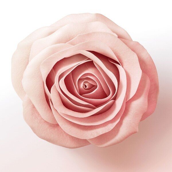 Pantene Lift &amp;amp; Volume Silicone Free Shampoo, Biotin, 400ml