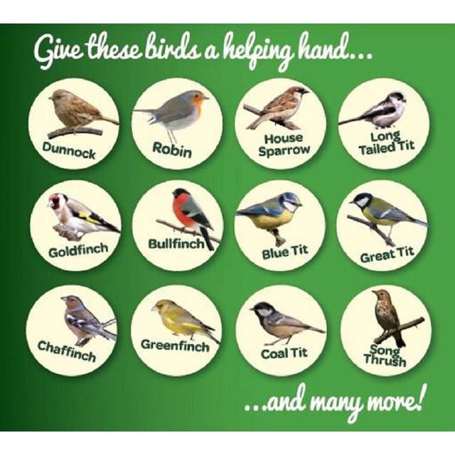 Peckish Complete Seed And Nut No Mess Wild Bird Food Mix   12.75kg