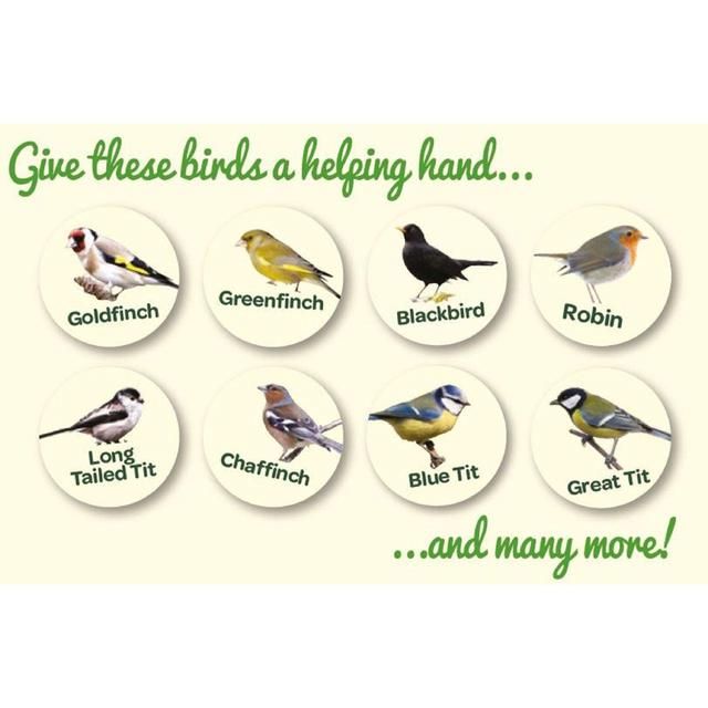 Peckish No Grow Seed Mix For Wild Birds   1.7kg