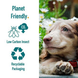 Percuro Insect Protein Puppy Small &amp;amp; Medium Breeds Dry Dog Food   2kg