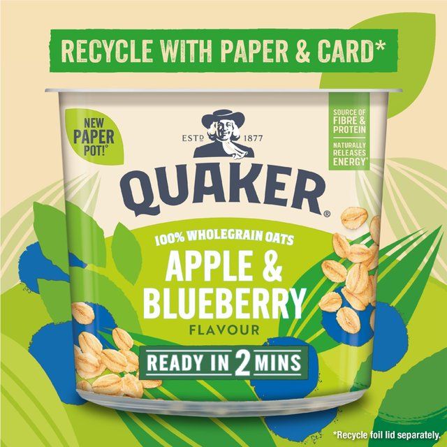 Quaker Oat So Simple Apple &amp;amp; Blueberry Porridge Cereal Pot   57g