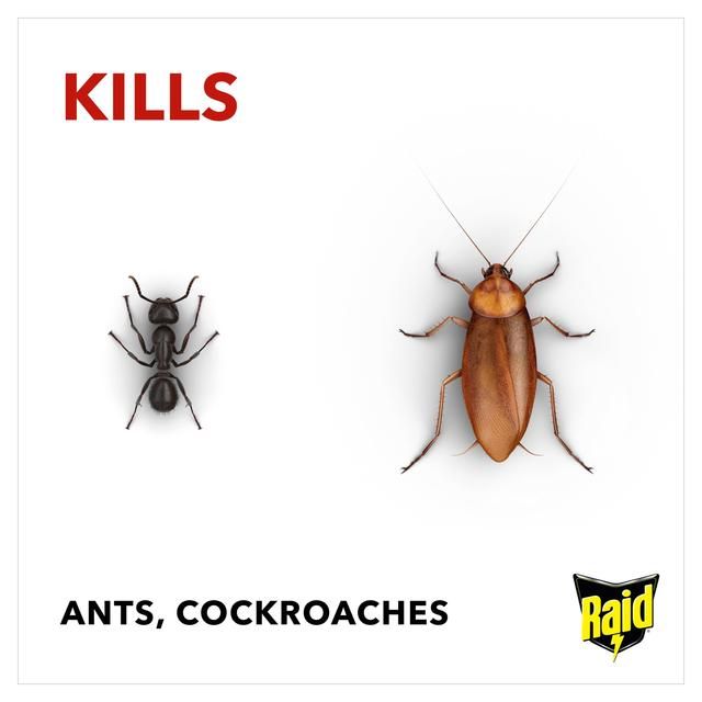 Raid Ant &amp;amp; Cockroach Killer