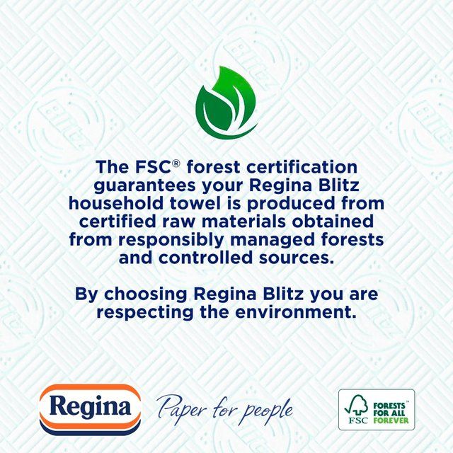 Regina Blitz 4 Roll   4 per pack