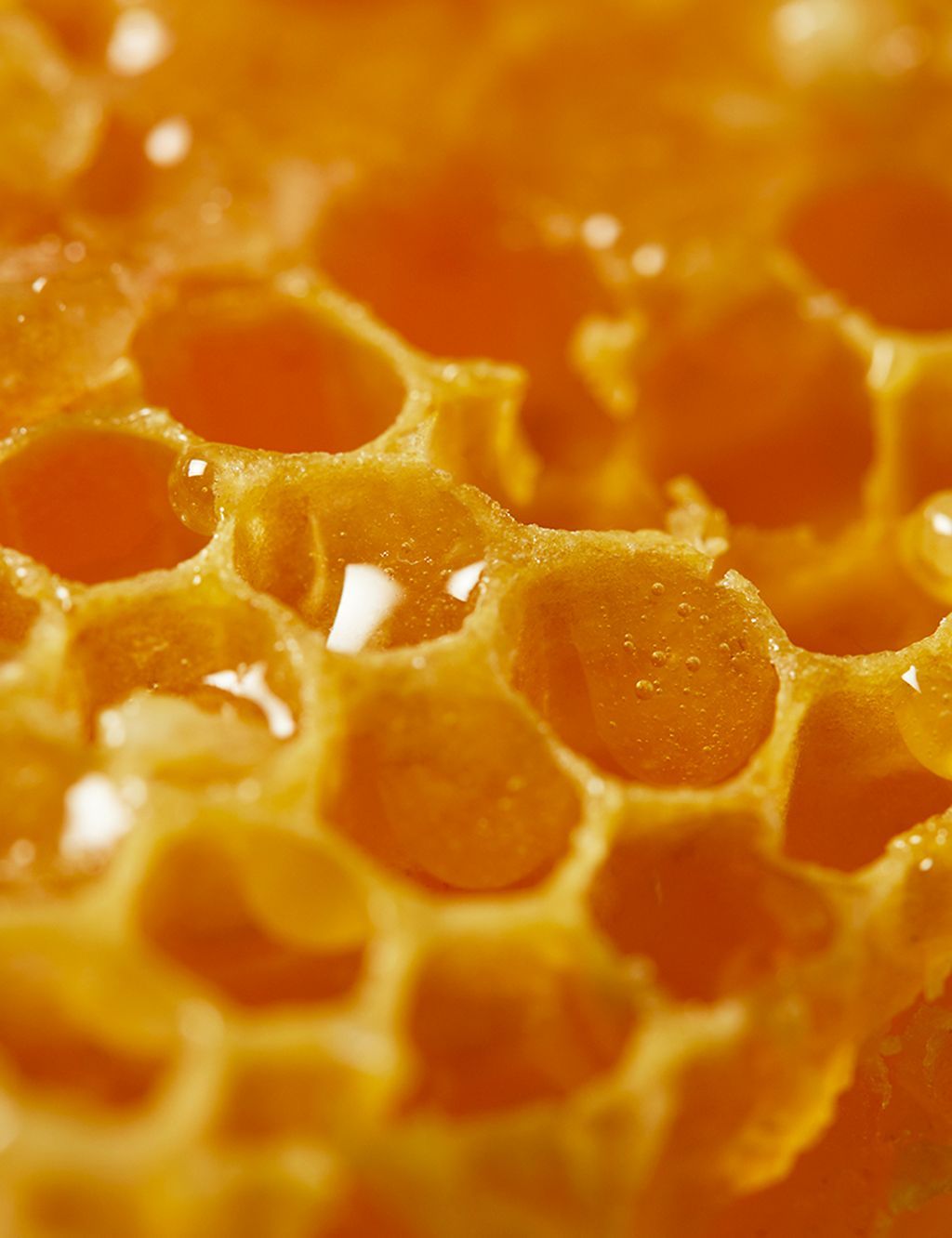 Reve de Miel Face &amp;amp; Body Ultra-Rich Cleansing Gel 400ml