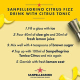 San Pellegrino Citrus Tonic Water Glass   4 x 200ml