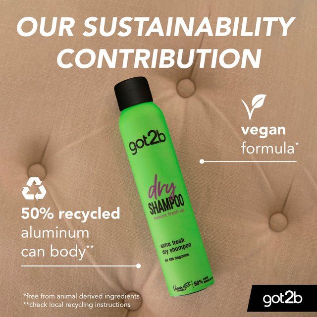 Schwarzkopf Got2b Extra Fresh Dry Shampoo   200ml