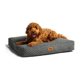Snug Furry Friends Dog Bed Extra- Small/Medium